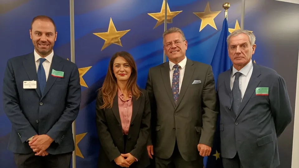 Porto di Gioia Tauro: l'UE a lavoro su misura per tutelare lo scalo da Ets