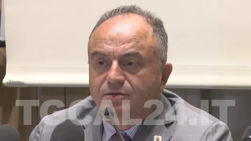 Operazione "Imponimento", Lega Calabria: «Importante tassello nella guerra alla 'ndrangheta»