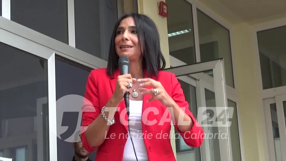 Violenza, Princi: "Presto lo psicologo nelle scuole calabresi"