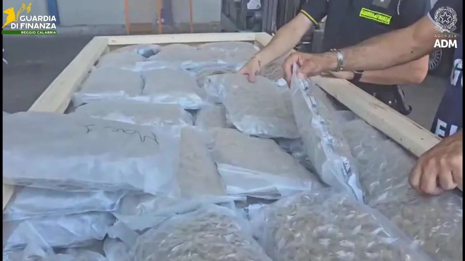Sequestrati oltre 1200 kg di marijuana al porto di Gioia Tauro