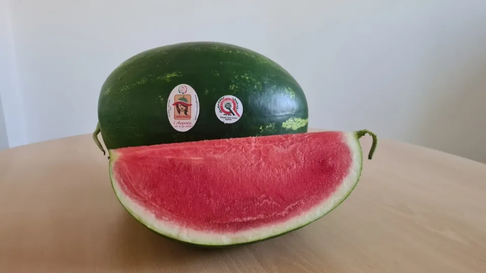 VIDEO | Investire sul territorio: l'azienda agricola Giovanni Turrà lancia “Calabresella”