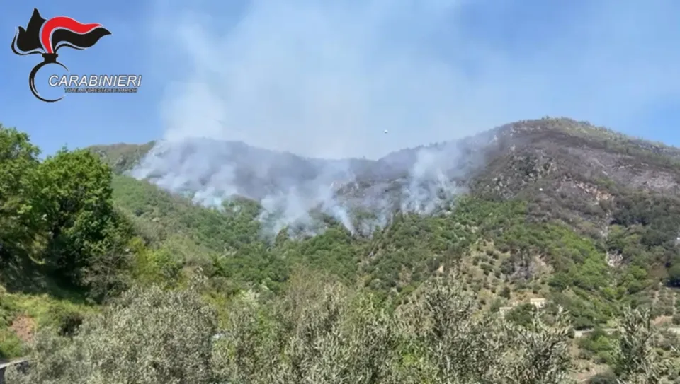 Appiccarono un maxi incendio tra Petronà e Mesoraca: due denunce