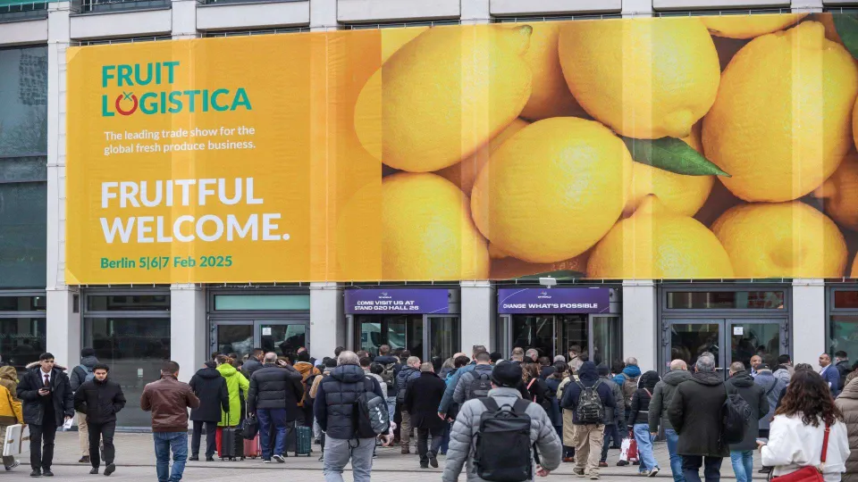 Parte a Berlino "Fruit Logistica", Calabria di nuovo protagonista