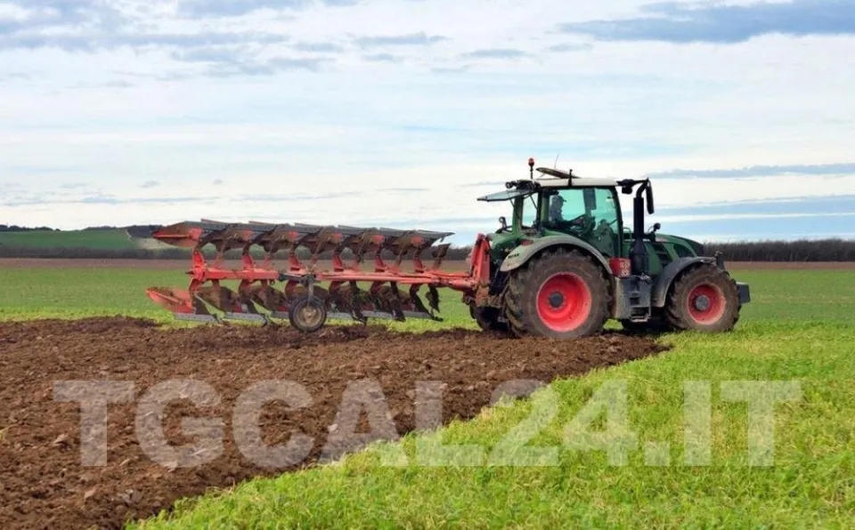 Agricoltura: perso il 30% della produzione di uva e cipolla, la Regione chiede lo stato di calamità