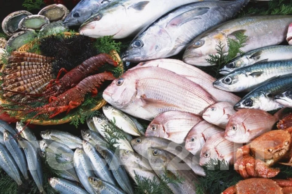 Filiera ittica: in campo più di mezzo milione per accrescere la competitività delle Pmi