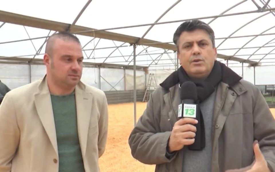 'Nduja d'eccellenza: la filiera corta parte dalla produzione delle materie prime per il cibo dei maiali