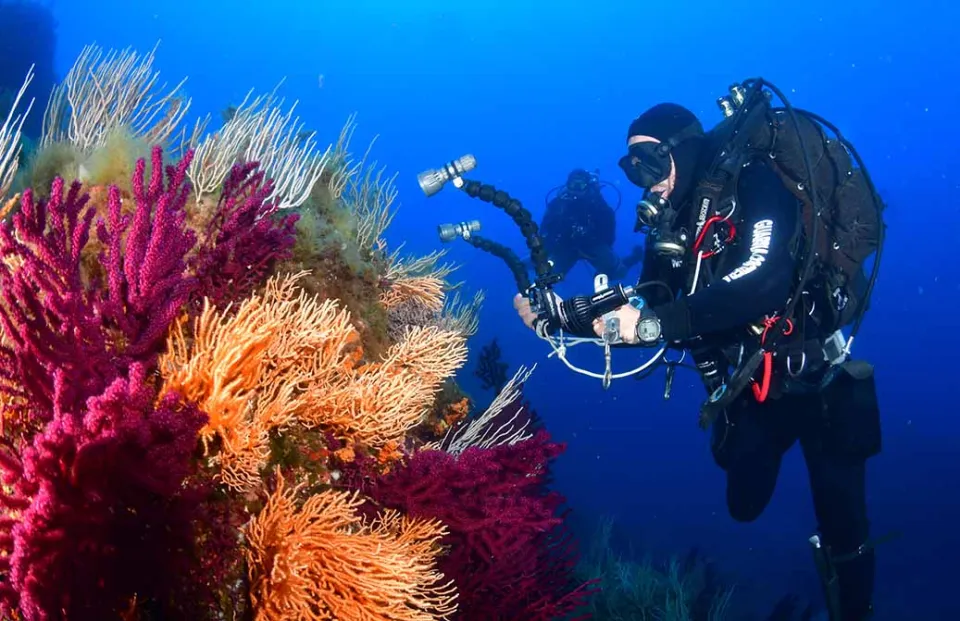 Acque più limpide e un ambiente più pulito: gli effetti del lockdown sul nostro mare (Video)