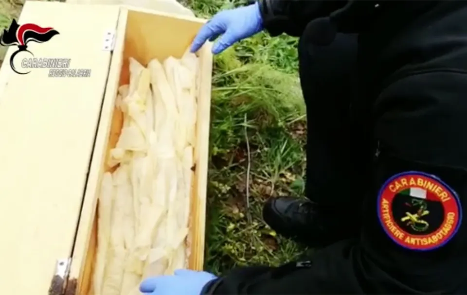 Ciminà: esplosivi ed armi ritrovati nel muro a secco di un terreno comunale (Video)