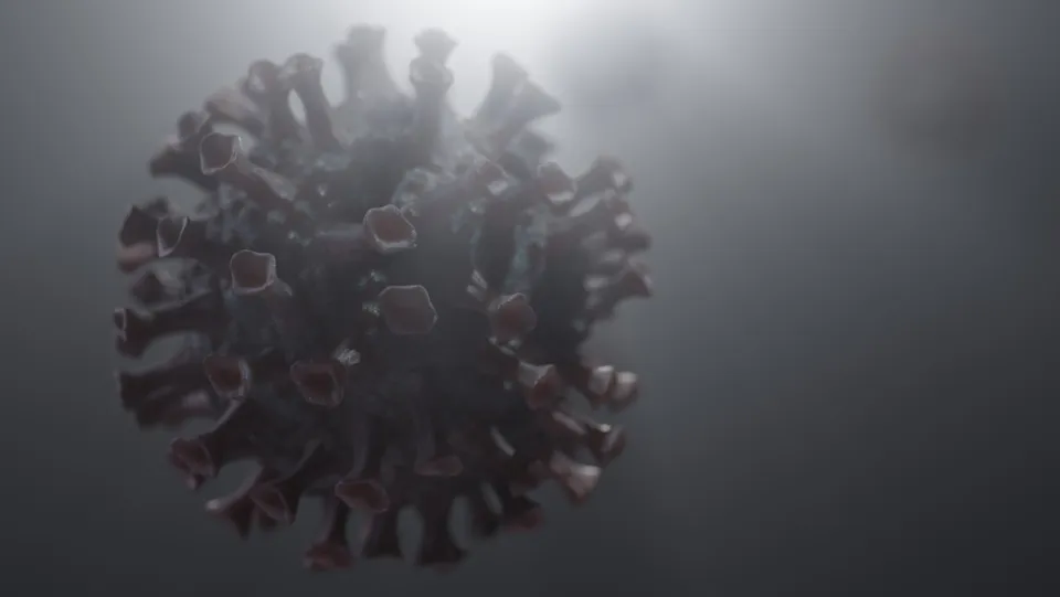 Coronavirus, Terranova da Sibari diventa zona rossa: firmata l’ordinanza dalla Regione