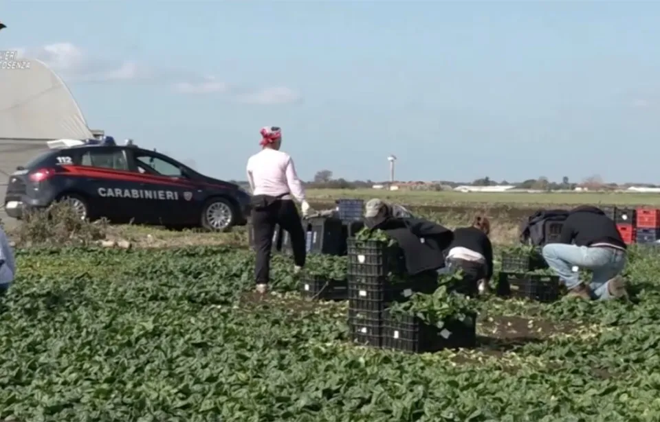 Quindici euro per 12 ore di lavoro nei campi: 15 arresti in una operazione contro il caporalato (Video)