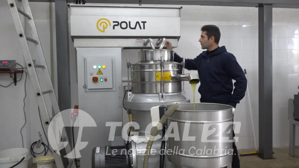 GLI SPECIALI DI VIDEO CALABRIA | Dopo il Reddito di cittadinanza il sogno di lavorare