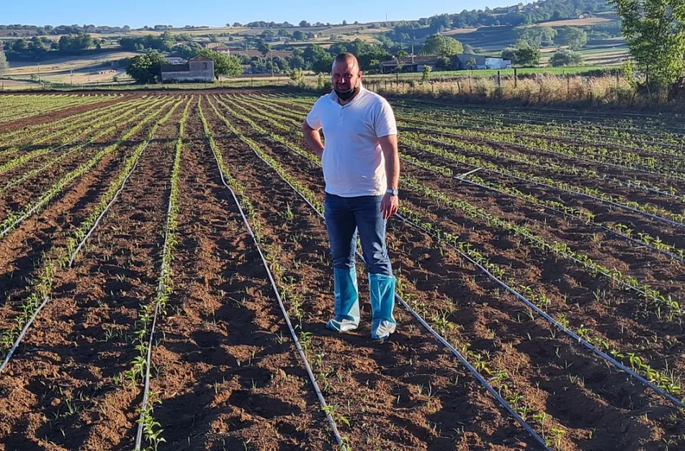 La filiera del Peperoncino Tri Pizzi per una 'Nduja d'eccellenza, autentica, identitaria