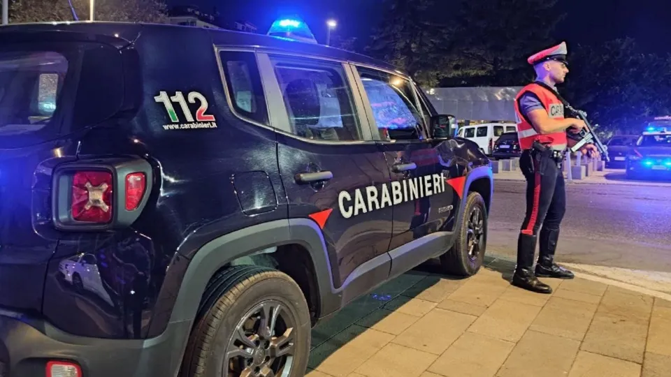 Droga a Lamezia, doppio intervento dei Carabinieri
