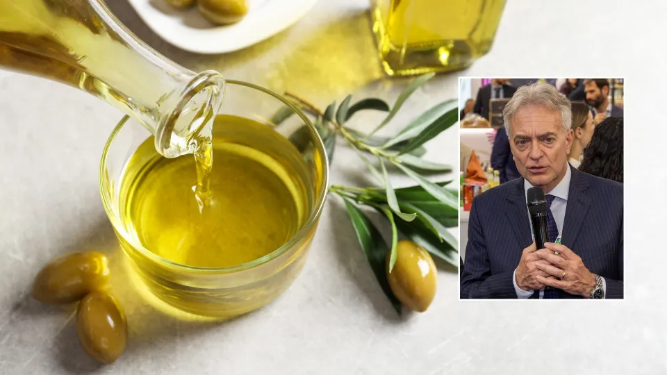 Olivicoltura calabrese in crisi: la Regione chiederà lo stato di crisi al Governo