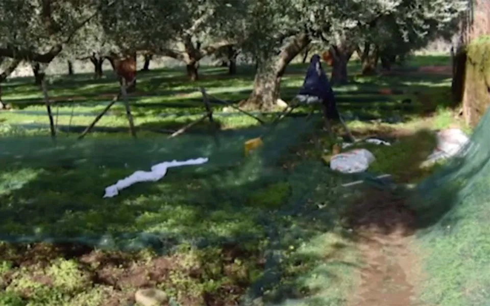 Marito e moglie uccisi a Calanna: l'omicidio per un terreno o per la raccolta delle olive