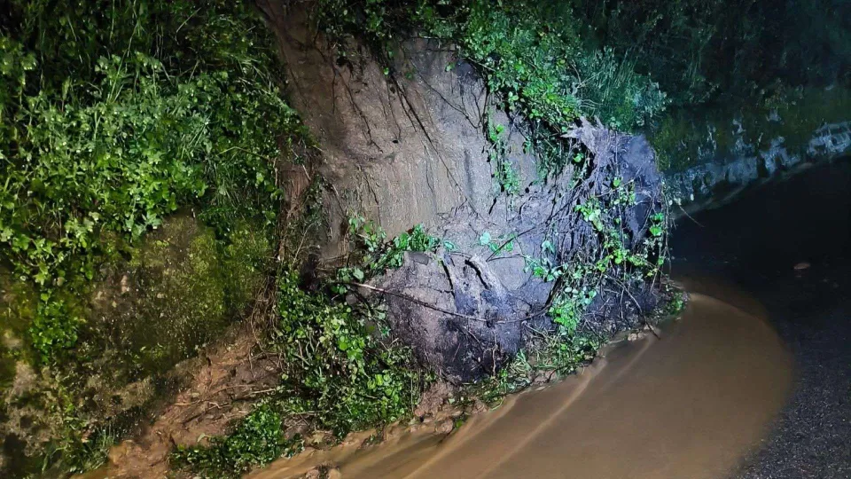Emergenza maltempo nel Vibonese, frane e territori isolati