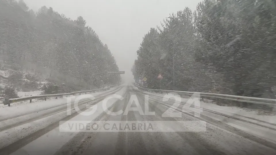 (VIDEO) Maltempo, neve in Sila: temperature artiche, ma la viabilità resta sotto controllo