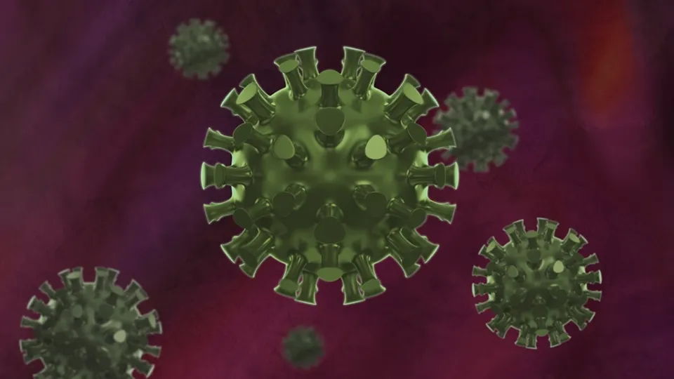 Coronavirus, in Calabria 298 nuovi casi positivi e 7 decessi: il bollettino della Regione del 3 settembre