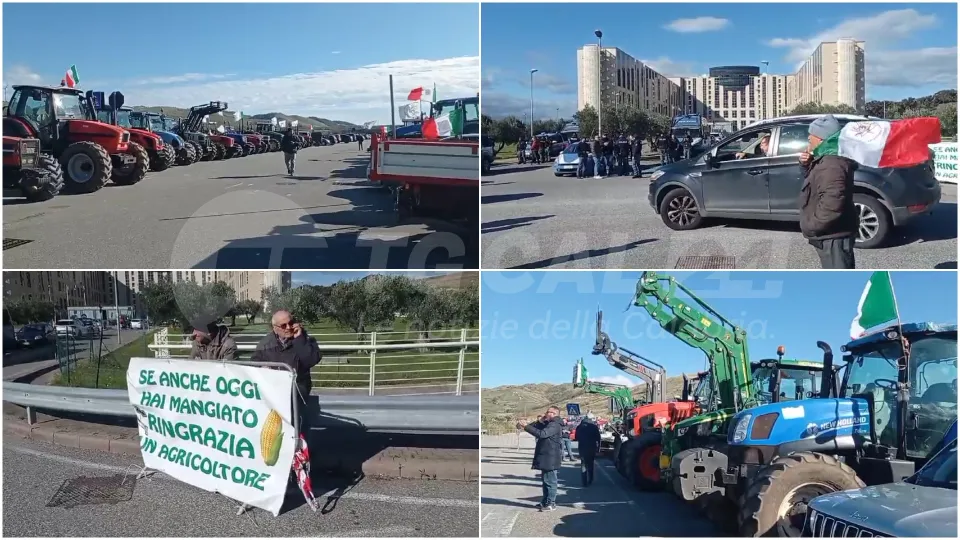Gli agricoltori in protesta si incatenano al palazzo della Regione Calabria