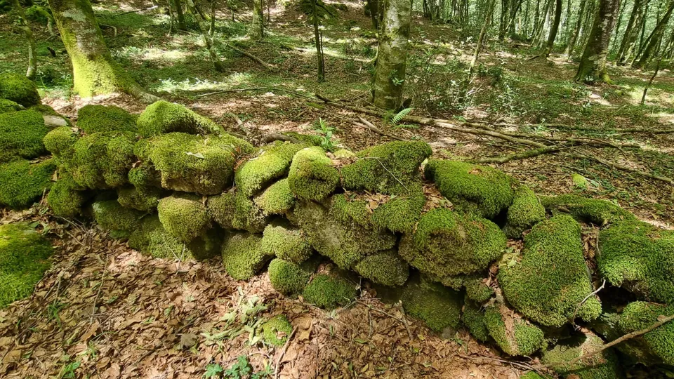 Riscoperta un'antica struttura muraria in Aspromonte