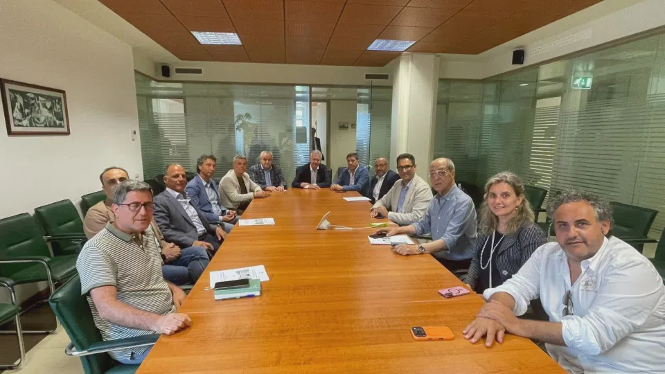 Boschi vetusti in Calabria: parte la rete per proteggere le foreste antiche
