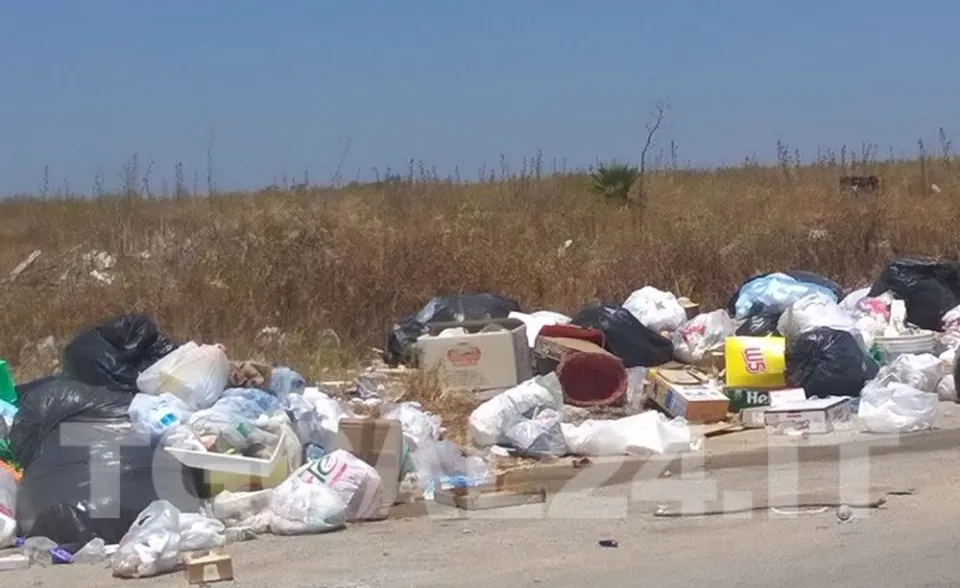 Rifiuti gettati lungo le strade: Anas e Comuni al lavoro per ripulire