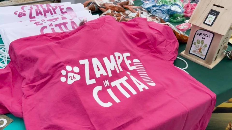 Crotone, passeggiata a 6 zampe alla scoperta della città