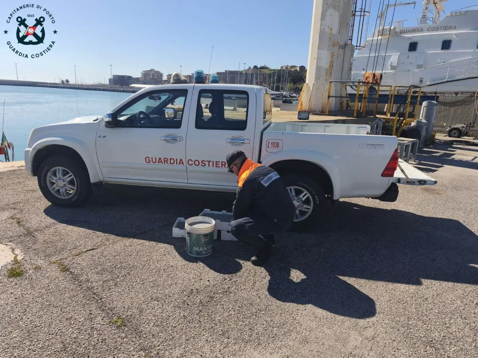 Pesca illegale di novellame, sequestro della Guardia Costiera a Strongoli