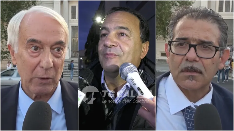 Sentenza Mimmo Lucano, i difensori: «Fatta giustizia»