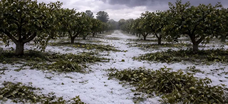 Maltempo gennaio-febbraio: Calabria chiede stato di calamità naturale