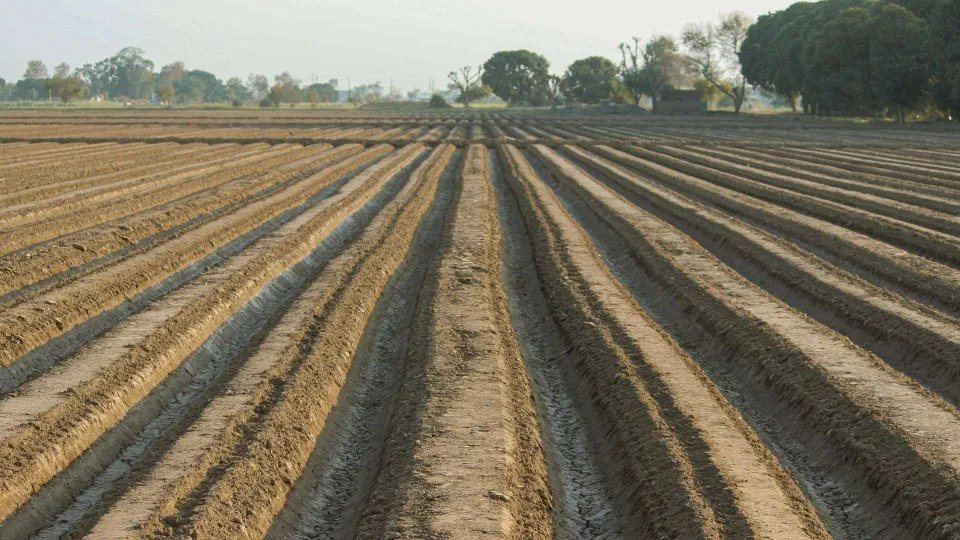 Degrado e cemento in Calabria, l'allarme di Coldiretti