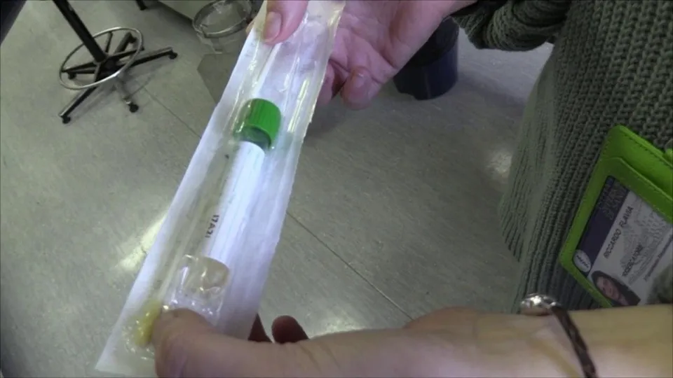 Palmi, altri duecento tamponi processati risultati negativi al Coronavirus