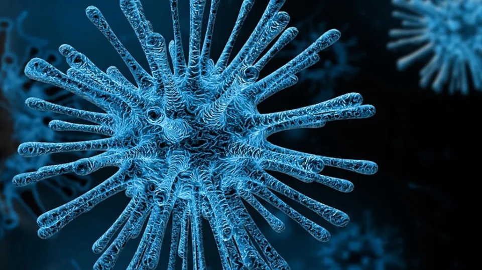Coronavirus, in Calabria 57 nuovi casi positivi e 1 decesso: il bollettino della Regione del 18 ottobre