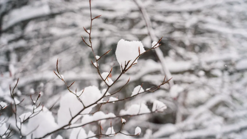 Meteo: torna l'inverno, brusco calo di temperature al Sud da venerdì