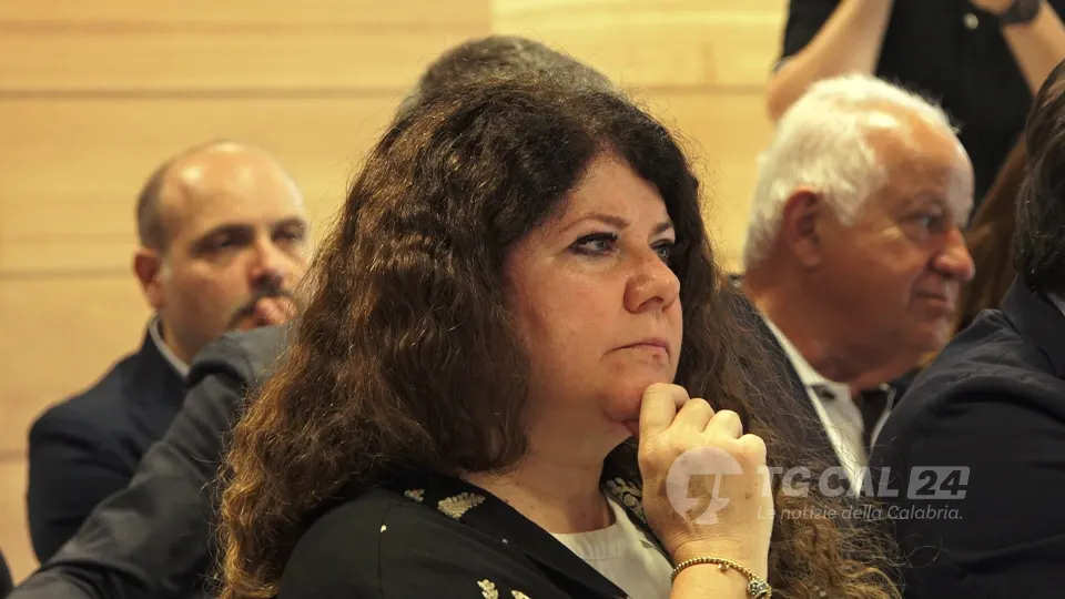 Inchiesta Crotone, Caligiuri: «Arsac parte lesa. Si costituirà parte civile»