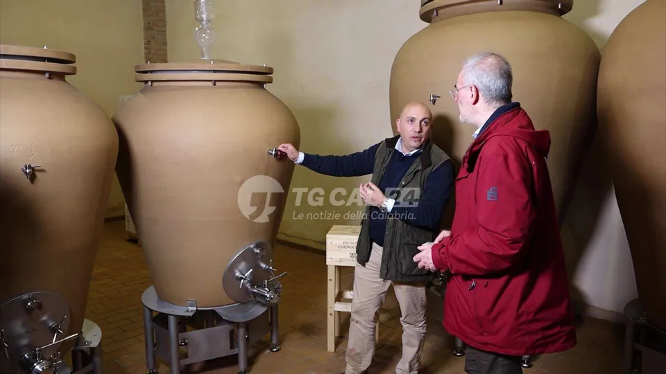 Tenuta Iuzzolini: arriva il nuovo vino d'impronta magno-greca