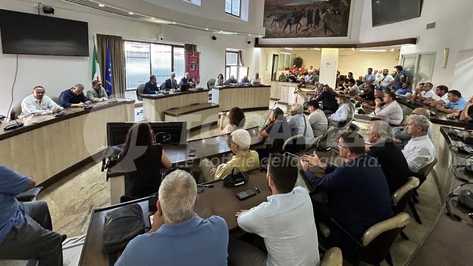 Tubercolosi bovina: casi in aumento nella provincia di Crotone
