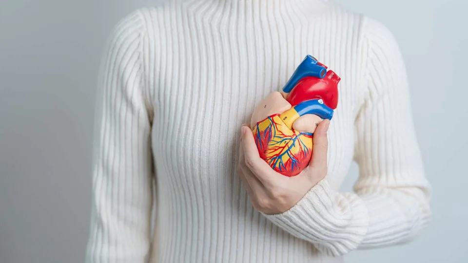 In Calabria sono oltre 500 le vittime di infarto in un anno