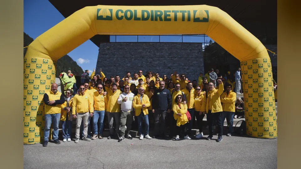 Etichette alimentari, Coldiretti: “Più tutela per il Made in Calabria”