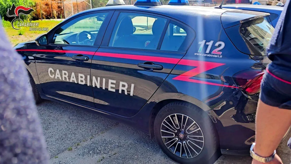 Carabinieri, sicurezza lavoro e controlli stradali sulla 106