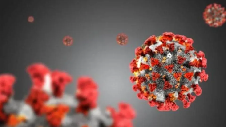 Coronavirus, in Calabria 402 nuovi casi positivi e 9 decessi: il bollettino della Regione