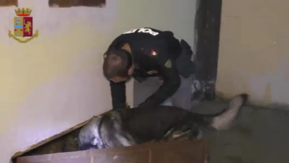 'Ndrangheta, operazione a Cosenza: fermate 45 persone per traffico e spaccio droga (VIDEO)