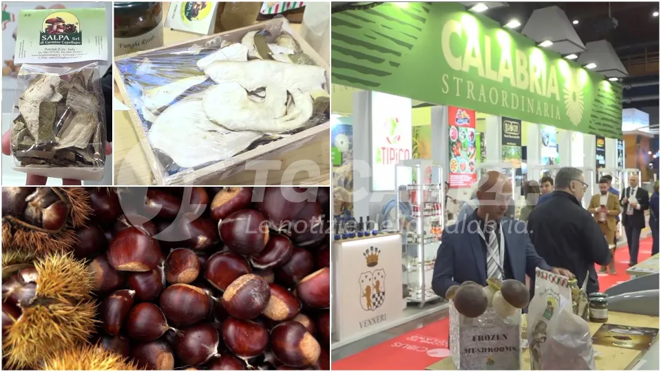 CIBUS 2024 | Ultima giornata in fiera: i prodotti della terra