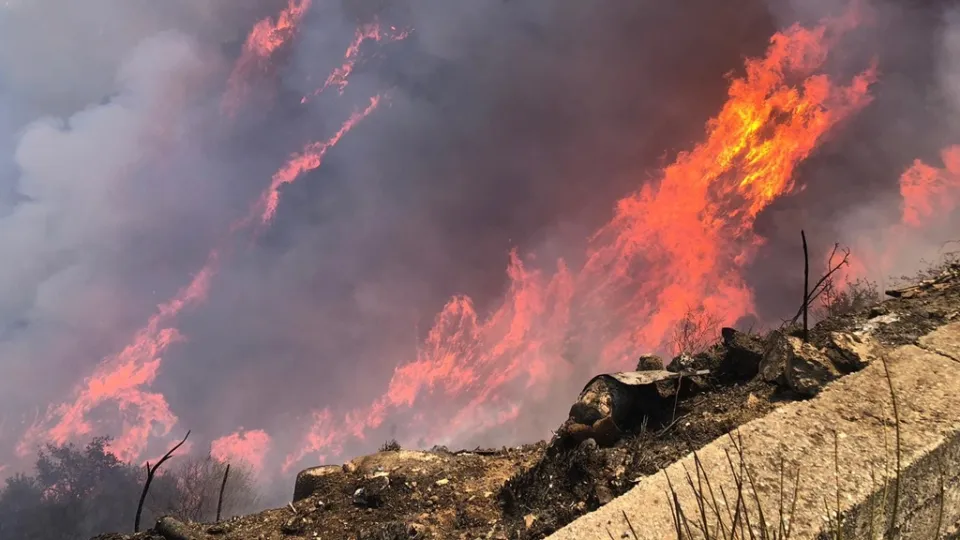 Emergenza incendi: fiamme intorno alle case nel reggino e sei persone salvate nel crotonese