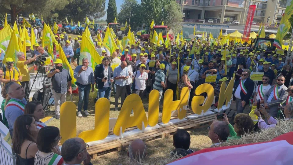 Cinghiali in Sila, Coldiretti: "Bene i "selecontrollori", avanti con il piano"