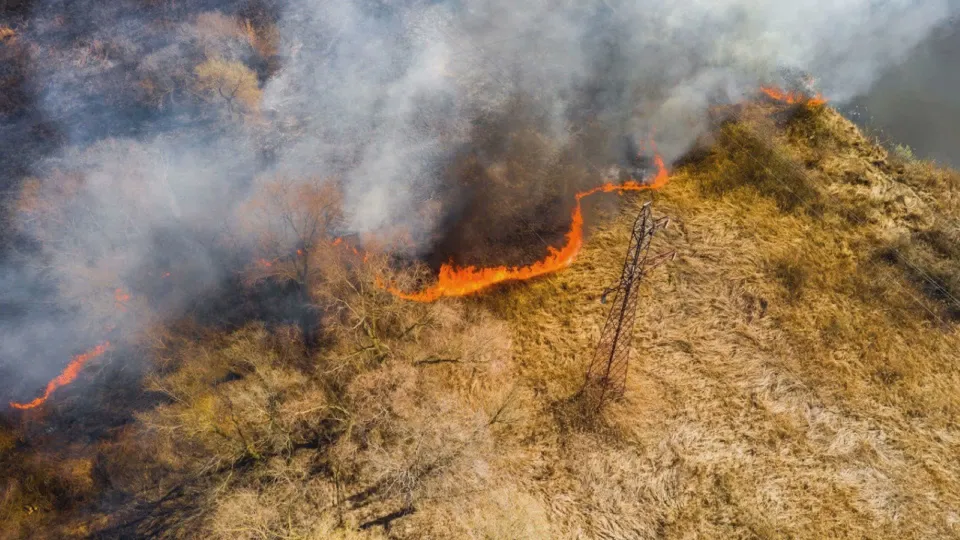Emergenza incendi, Legambiente Calabria: "Servono prevenzione e controlli"