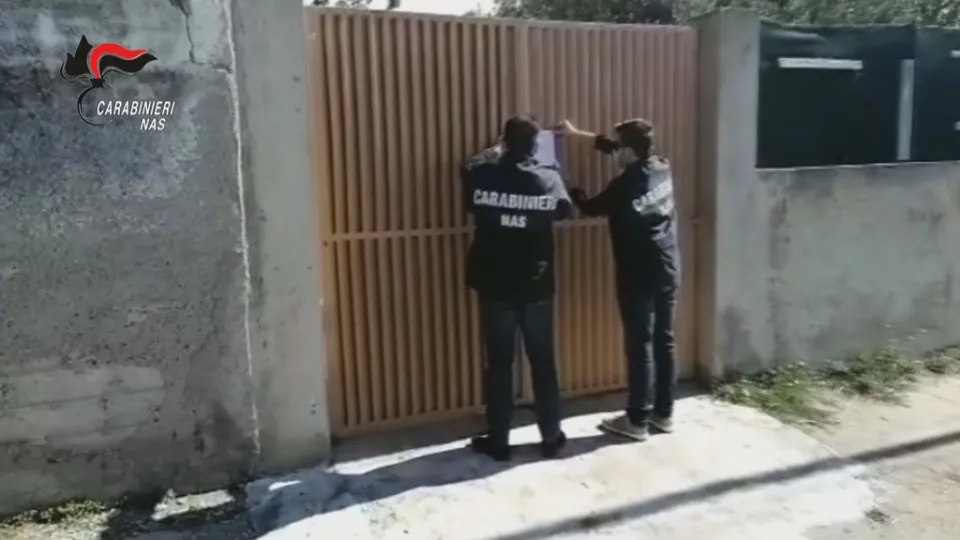 Contolli anti Covid dei Nas a Reggio Calabria: sospese quattro comunità per anziani (VIDEO)
