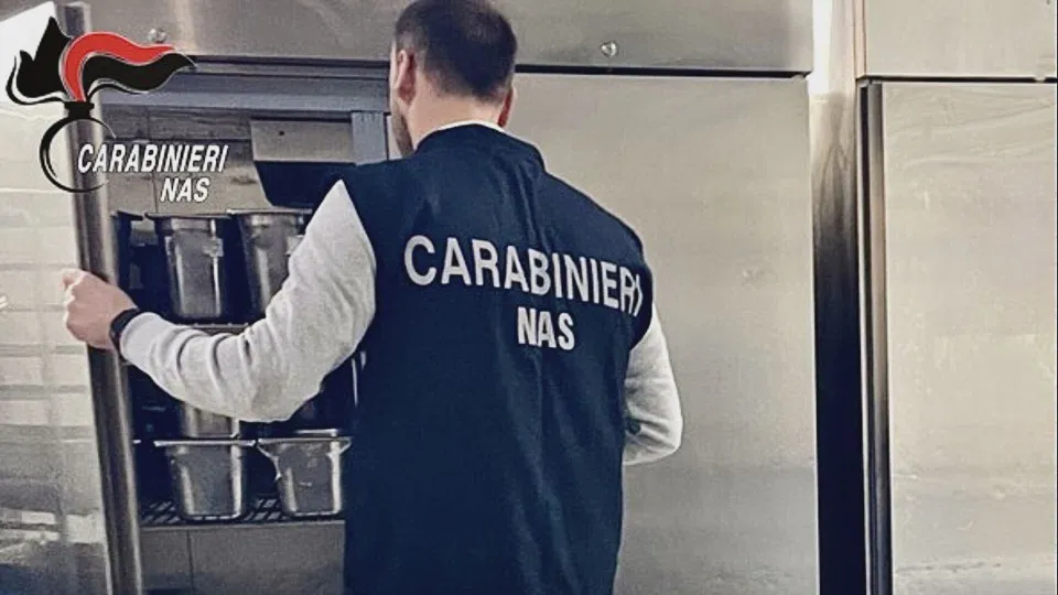 Controlli dei NAS a Catanzaro, irregolare oltre il 70% delle attività