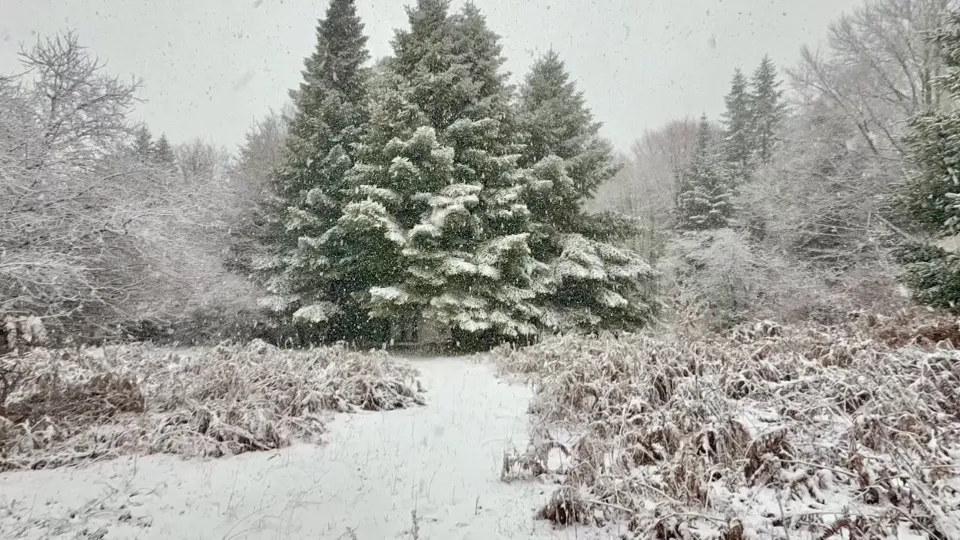 Primo fine settimana con la neve in Calabria