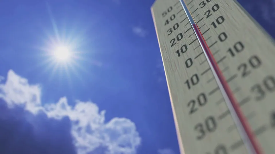 Caldo in Calabria, Protezione civile pronta a fronteggiare l'emergenza